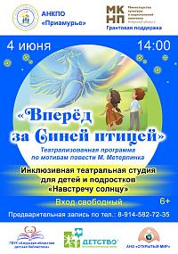 Проект «Вперед за Синей птицей»